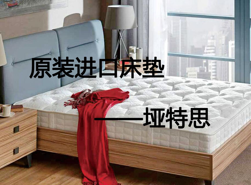 原装进口小蝌蚪吧视频黄色版哪个品牌好？